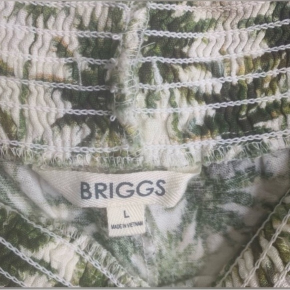 Briggs Shorts Tropical Palm Tree Print, Boho, Linen Blend Lightweight, Sz L - Picture 2 of 6